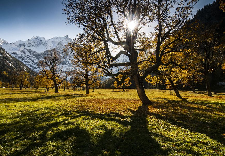 sub1-ahornboden-im-herbst-2