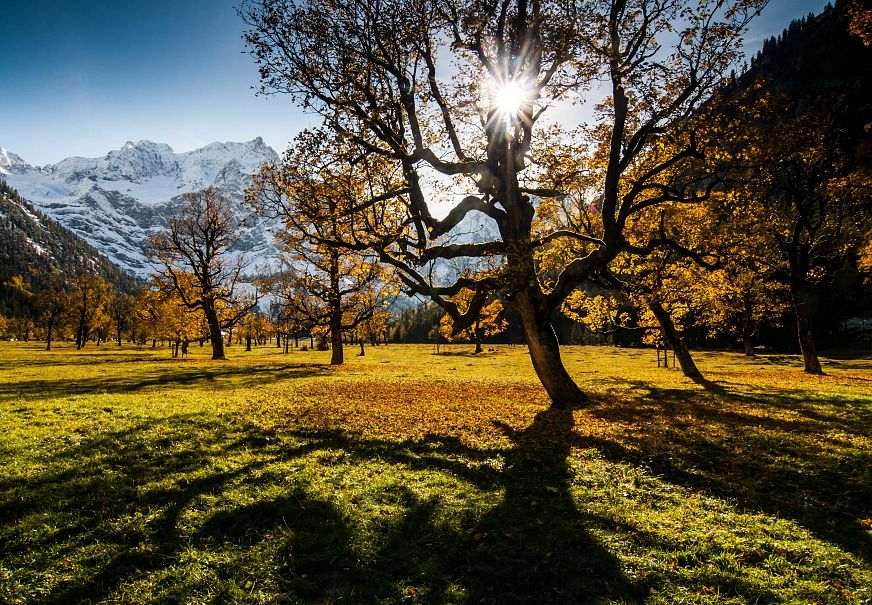 sub1-ahornboden-im-herbst-5