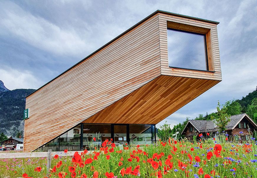 Blumenwiese vor dem Infozentrum Scharnitz (3)