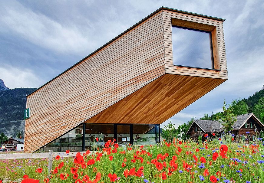 Blumenwiese vor dem Infozentrum Scharnitz (3)