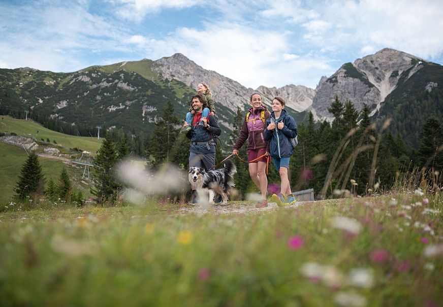 Wanderer mit Hund auf einem blühenden Bergpfad in der Region Seefeld, vor alpiner Landschaft.