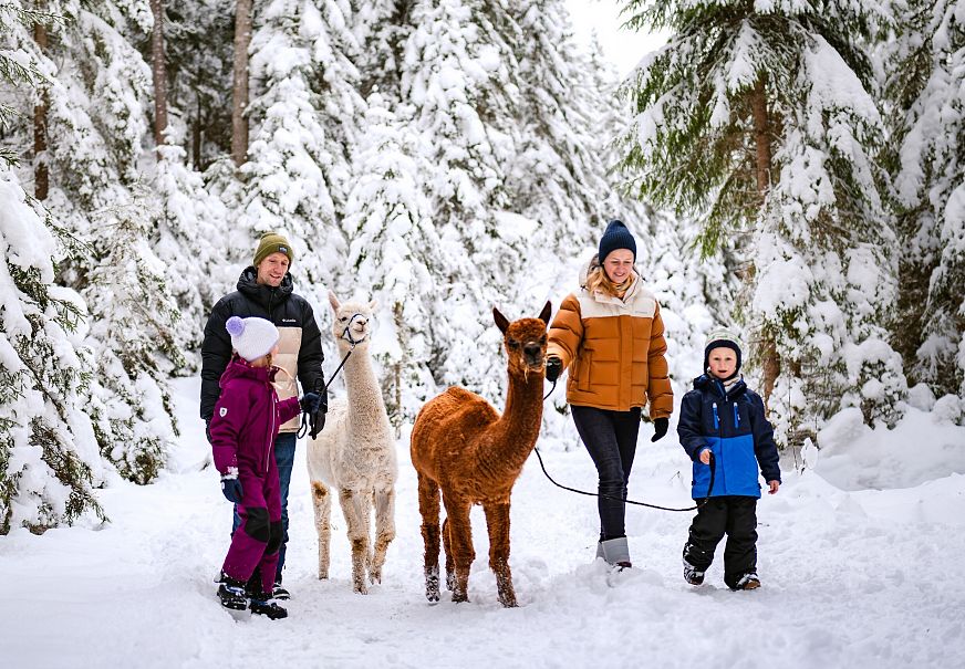 Familie beim Lama-Spaziergang in verschneitem Wald. Kinder und Erwachsene lächeln und tragen Winterkleidung.