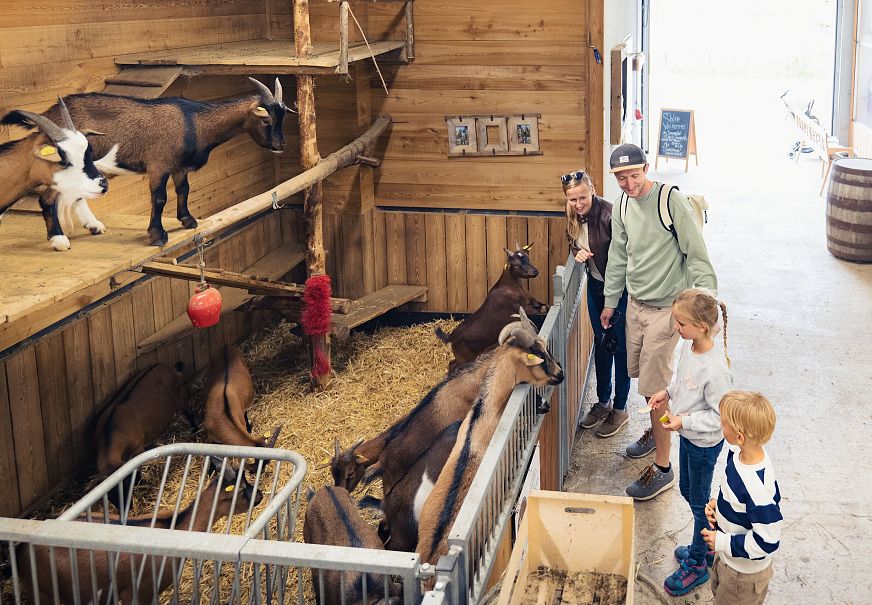 Familienurlaub in der Region Seefeld - Familie bei Sigis Sauhaufen