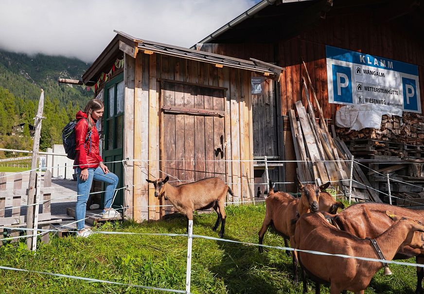 Hofladenrunde Leutasch - Frau vor Ziegengehege vor Hofladen Muchhof