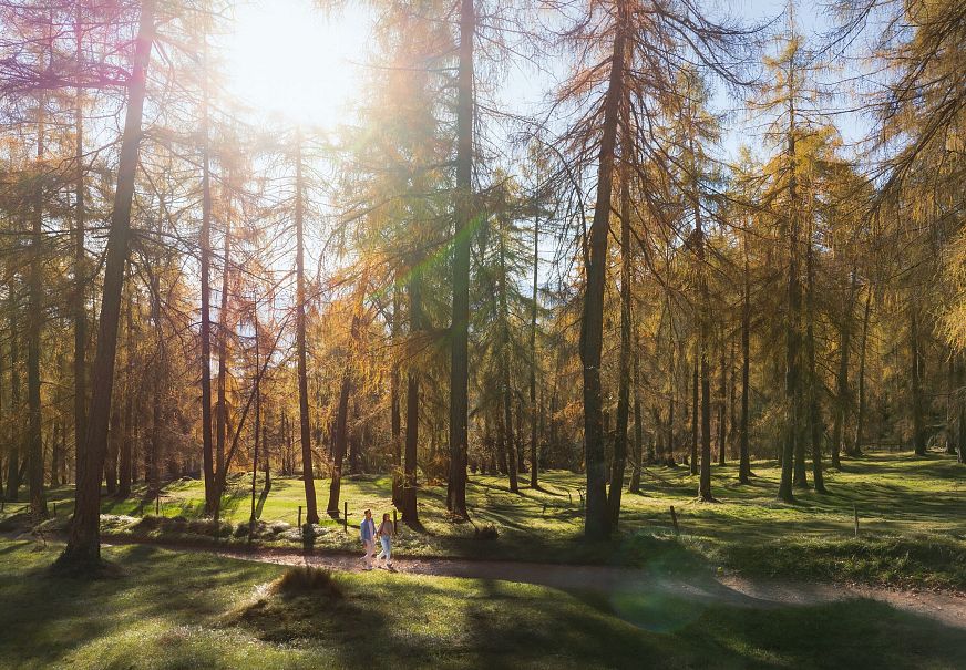 Lärchenwald in Reith - Drohnenaufnahme - Paar läuft zur den Wald - Aufnahme Richtung Sonne (1)