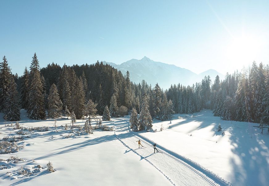 Langläufer in der Region Seefeld auf einer sonnigen Schneeloipe, umgeben von verschneiten Bäumen und Bergen.