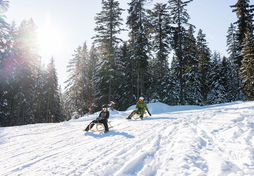 Two sledders on a snowy slope surrounded by trees.