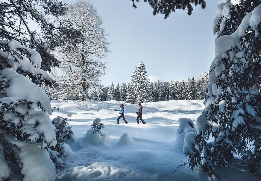 Winterwanderung in der Region Seefeld durch verschneite Landschaft und Bäume unter blauem Himmel.