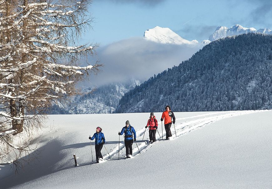 Vier Personen beim Langlaufen in der verschneiten Region Seefeld vor schneebedeckten Bergen.