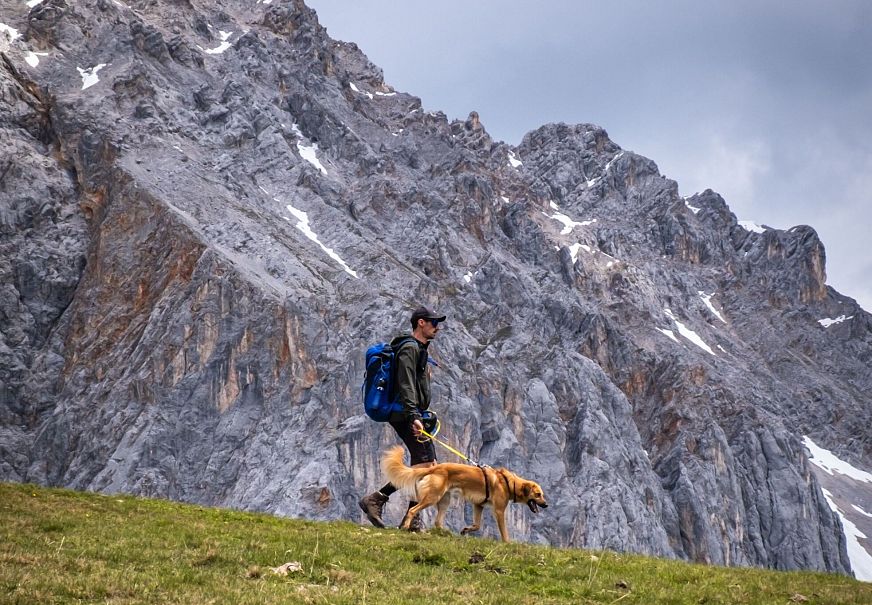 Wanderer mit Hund auf einer Wiese vor einem bergigen Hintergrund.