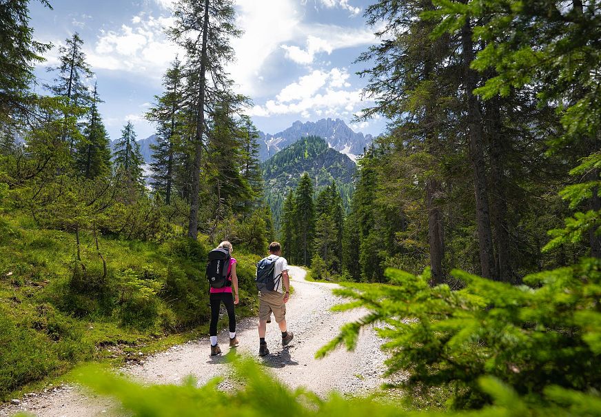Two hikers on a trail surrounded by trees and mountains.
