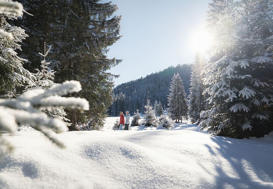 Verschneite Winterlandschaft mit Wanderern zwischen hohen Tannenbäumen.