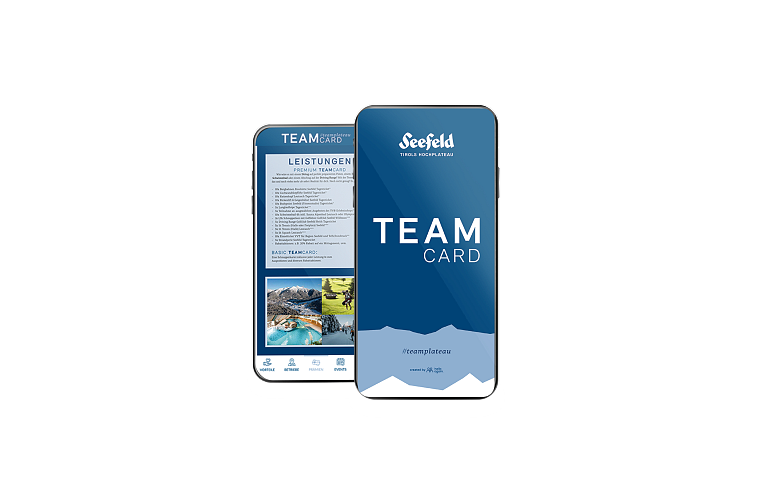 teamcard-grafikwebsite-1-1