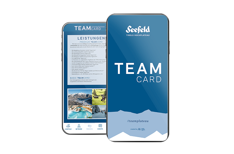 teamcard-grafikwebsite-1-6