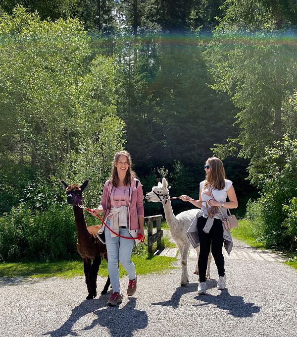 Zwei Frauen führen Alpakas auf einem Kiesweg durch eine grüne Umgebung.