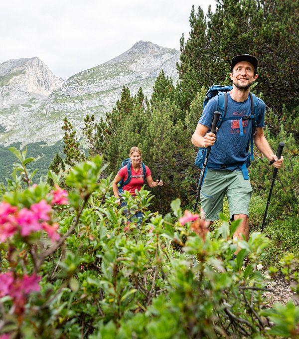 Zwei Wanderer auf einem Bergweg, umgeben von Blumen und grüner Landschaft.