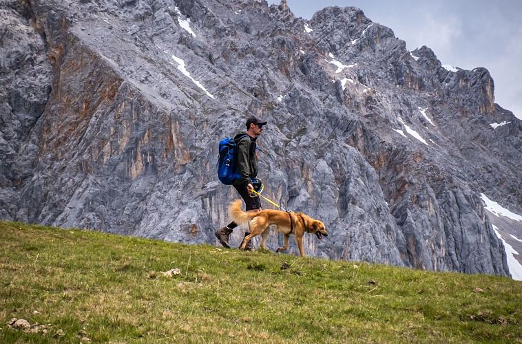 Wanderer mit Hund auf einer Wiese vor einem bergigen Hintergrund.