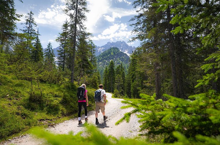 Wanderung zur Eppzirler Alm im Sommer - Mann und Frau laufen auf Forstweg mit Tannenzweigen im Vordergrund