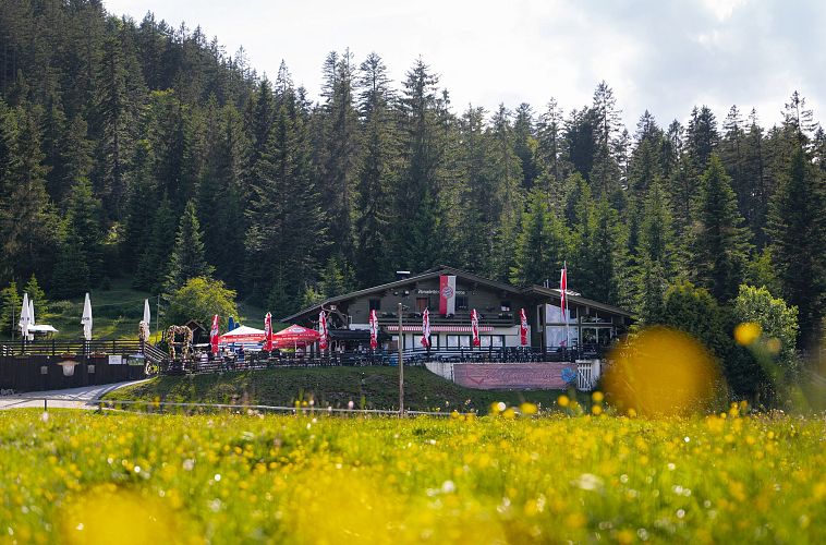 Gebäude in einer bewaldeten Umgebung mit blühender Wiese und Menschen davor.
