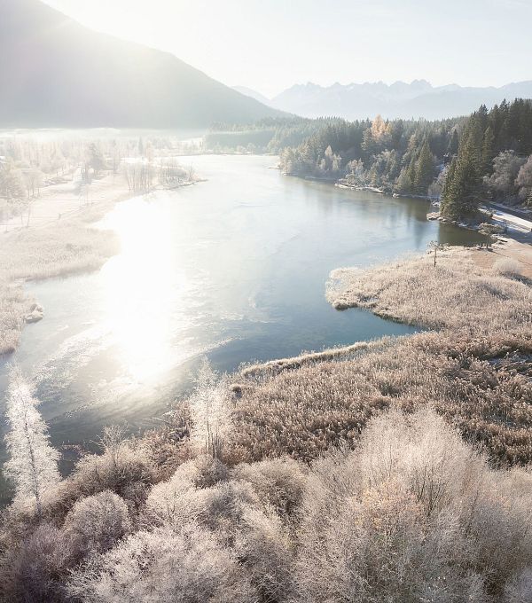 Wildsee im Frühwinter bei Morgenlicht_Drohnenaufnahme mit vereisten Bäumen