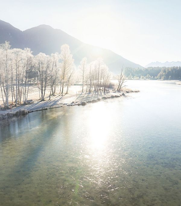 Wildsee im Frühwinter bei Morgenlicht_Drohnenaufnahme vereiste Bäume am See