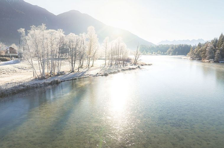 Wildsee im Frühwinter bei Morgenlicht_Drohnenaufnahme vereiste Bäume am See
