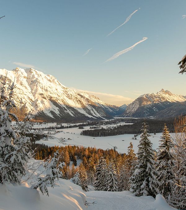 Winterlandschaft beim Weitwandern (4)