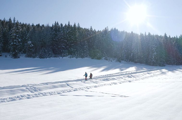 Zwei Wanderer auf verschneitem Pfad, umgeben von winterlicher Landschaft und Schneebäumen in der Region Seefeld.