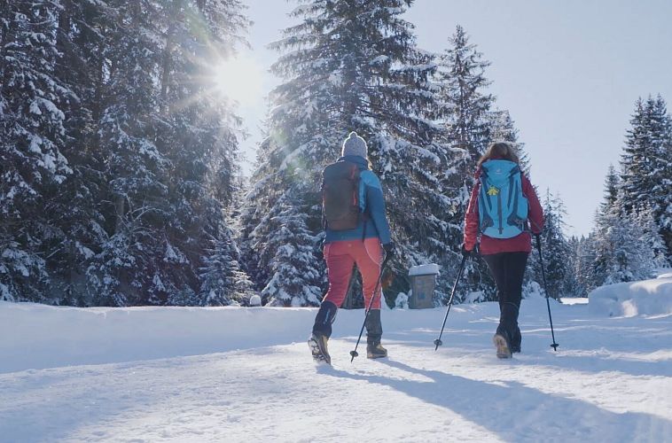 Zwei Personen wandern im Schnee durch einen sonnigen Wald, Region Seefeld.