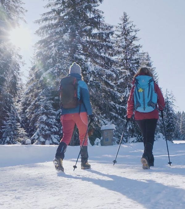 Zwei Personen beim Winterwandern in einer verschneiten Landschaft mit Tannen.