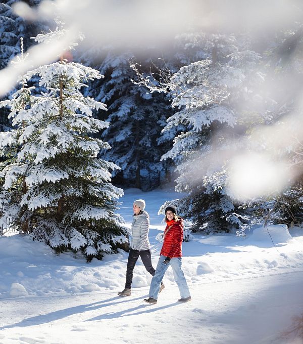 Zwei Personen wandern im verschneiten Wald der Region Seefeld. Winterlandschaft mit Sonnenschein.