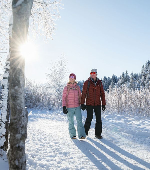 Paar wandert im Winter durch verschneite Landschaft in der Region Seefeld. Sonne scheint durch die Bäume.