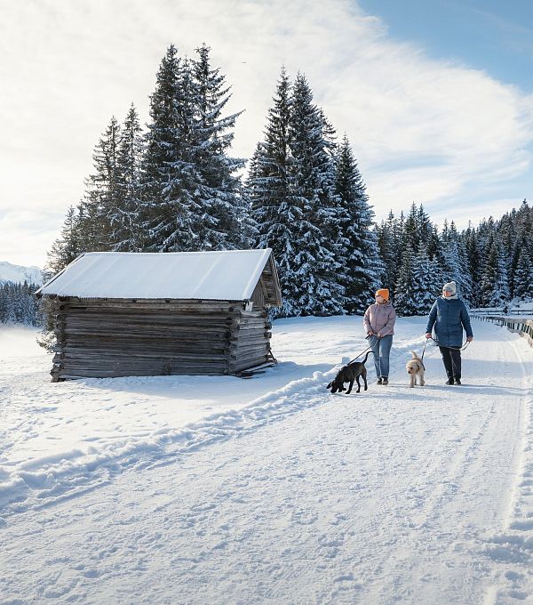 winterwandern-mit-hund-im-wildmoos-zwei-frauen-mit-hunden-laufen-auf-wanderweg-bei-der-ferienheim-lichtung-neben-stadl-1-1