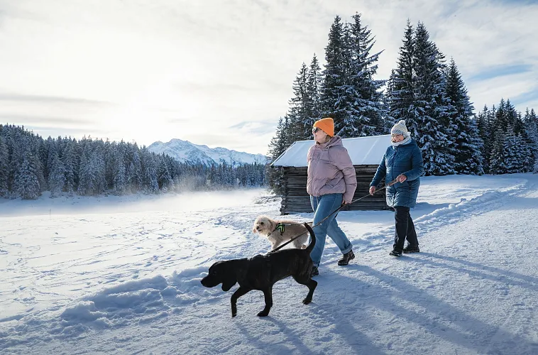 Winterwandern mit Hund im Wildmoos_zwei Frauen mit Hunden laufen auf Wanderweg bei der Ferienheim-Lichtung vor Stadl (1)