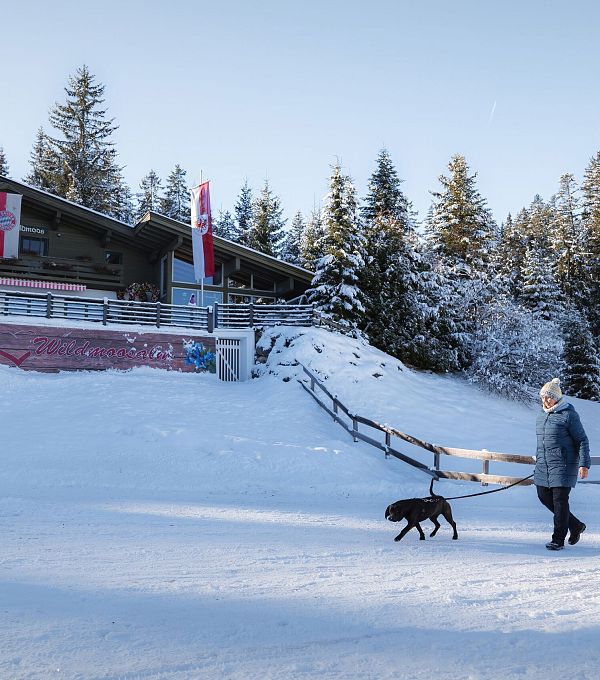 Winterspaziergang mit Hunden vor verschneitem Gebäude und Bäumen.