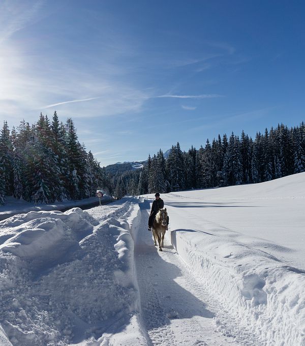 winterwanderweg-mit-pferd-neuleutasch-1