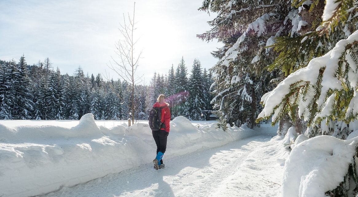 Wanderer im Schnee auf einem Winterwanderweg, umgeben von schneebedeckten Bäumen.
