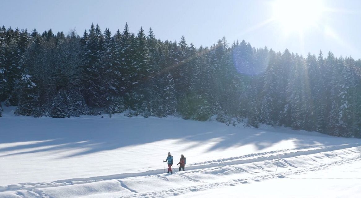 Zwei Personen wandern durch eine verschneite Winterlandschaft unter strahlender Sonne.