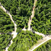 Baustelle Waldloipe Leutasch 18.06.2025 - 1