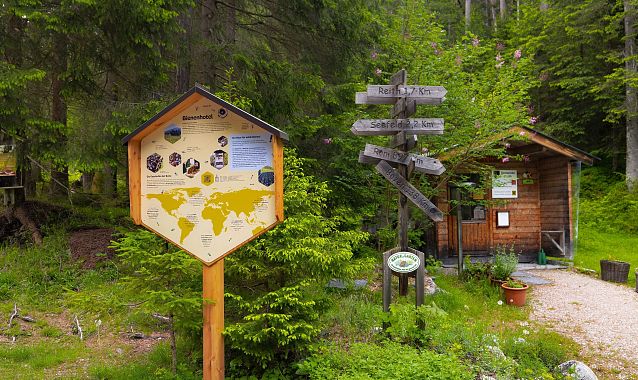 Bienenlehrpfad Reith - Infotafel Bienenhotel