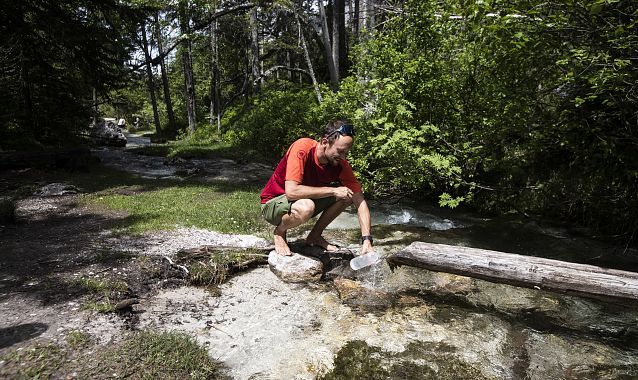 A person crouching by a stream, collecting water in a container amidst greenery.
