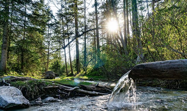 Isarursprung im Abendlicht - Scharnitz