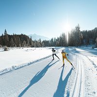 Zwei Langläufer auf einer verschneiten Spur in der Region Seefeld, umgeben von Bäumen und strahlendem Sonnenschein.