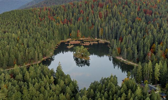 Herbstlicher Bergsee in der Region Seefeld mit Bergen und Wäldern.