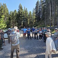Eine Gruppe von Menschen steht auf einem Kiesplatz im Wald, umgeben von Bäumen und Autos, und hört einem Vortrag zu.