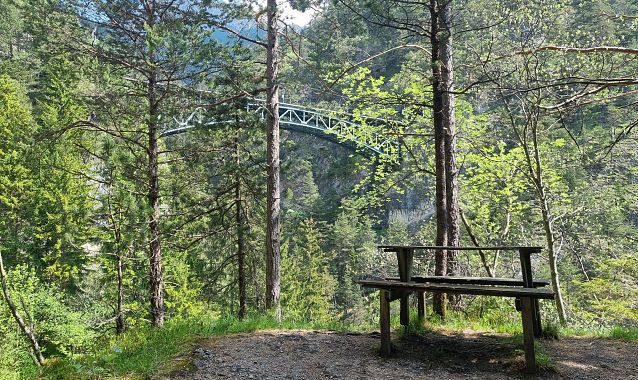 A wooden bench in a forest with a green bridge in the background.