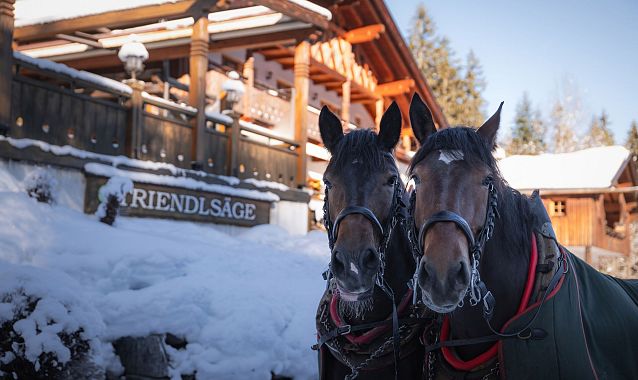 Triendlsäge im Winter - Portrait Pferde vor dem Gebäude