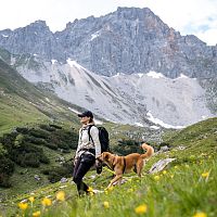 Wanderin mit Hund im Wettersteingebirge