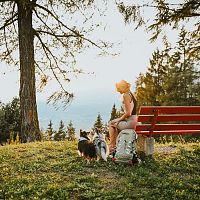 Wandern mit Hund - Pause auf Bank (Edit 1)