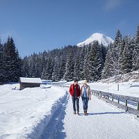 winterwandern-im-wildmoos-paar-laeuft-bei-ferienheim-lichtung